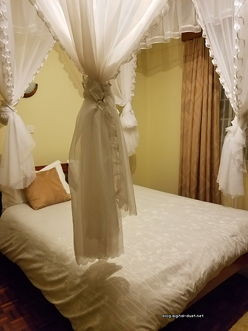 My first experience with bed nets
